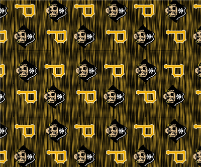 FSBLANKET